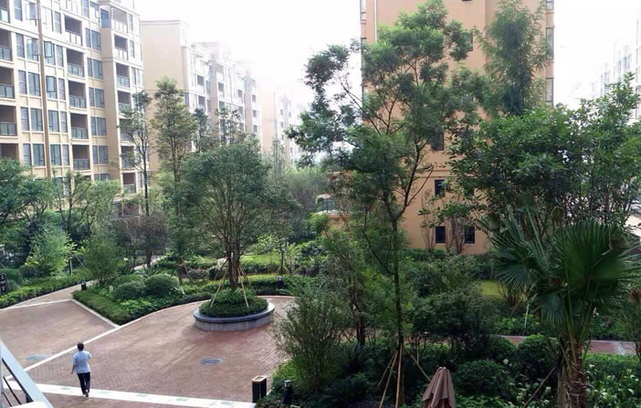 yp街机·电子游戏(中国)官方网站